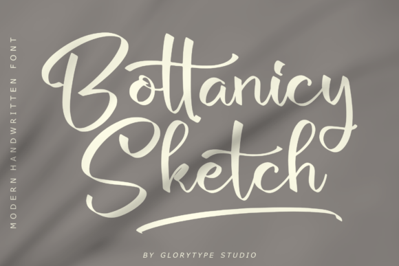 Bottanicy Sketch: Where Handwritten Elegance Meets Modern Design Clarity